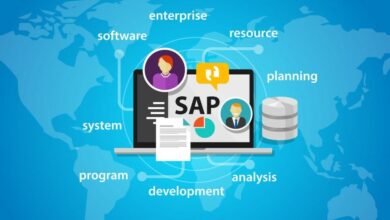sap-systems:-pivotal-for-a-successful-smes-and-lso
