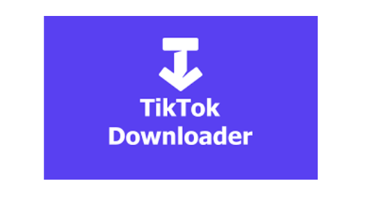 tiktok-video-downloader-online-instagram-video-download