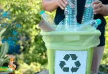 the-complete-guide-to-responsible-junk-disposal:-what-you-need-to-know