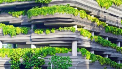 why-eco-luxury-is-the-next-big-market-for-tech-savvy-entrepreneurs