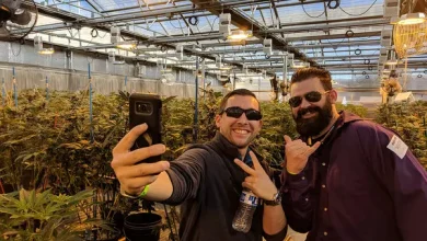 beyond-the-dispensary:-a-look-at-cannabis-tourism-across-the-us.