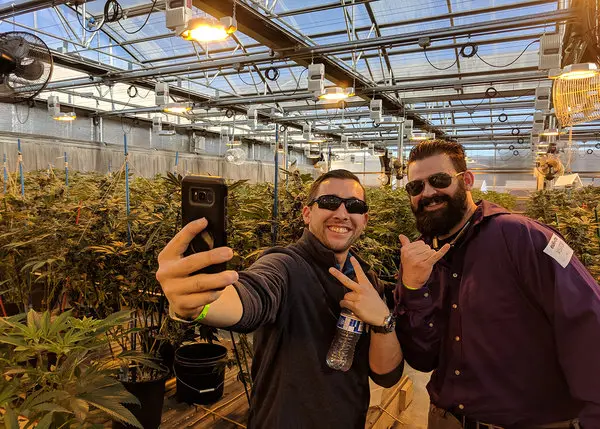 beyond-the-dispensary:-a-look-at-cannabis-tourism-across-the-us.